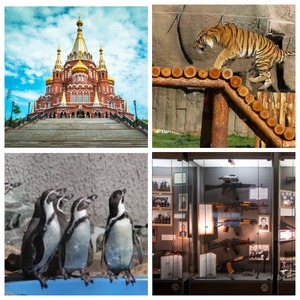 Экскурсия в Ижевск + Зоопарк +Шоу с морскими животными+ Музей Калашникова